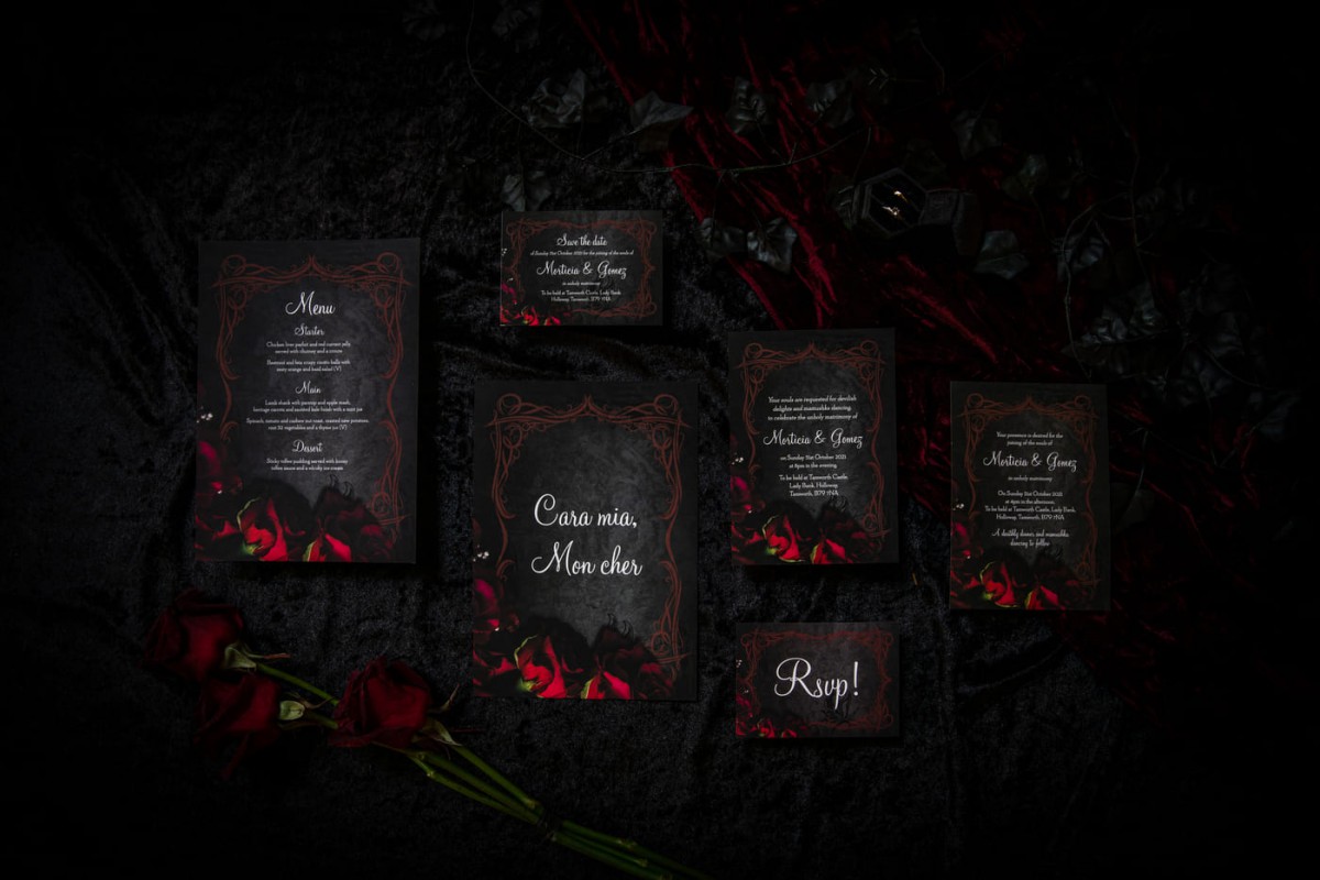 Blue Jay Photography