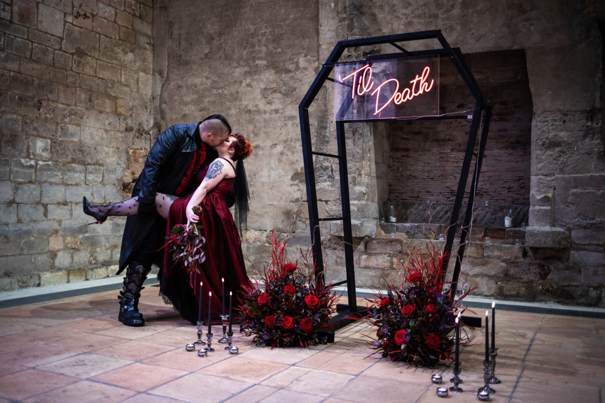 Blue Jay Photography1