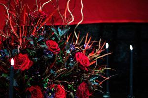 Blue Jay Photography5