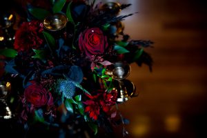 Blue Jay Photography7